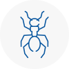 Ant Removals In Somerton