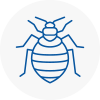 Bed Bug Extermination In Somerton