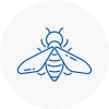 Bee Nest Removal Somerton