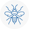 Somerton Hornet Nest Removals