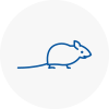 Mice Exterminators In Somerton