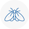 Moth Control Specialists In Somerton