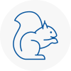 Somerton Rodent Removals